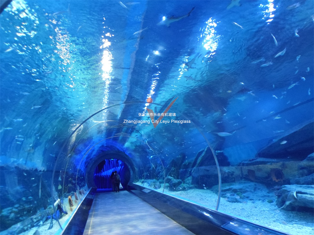 Haichang Underwater World, Wuhan