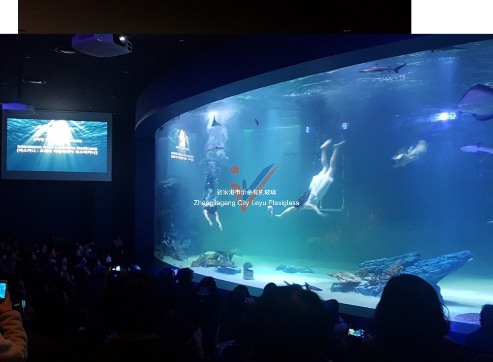 Daegu Underwater World, Korea